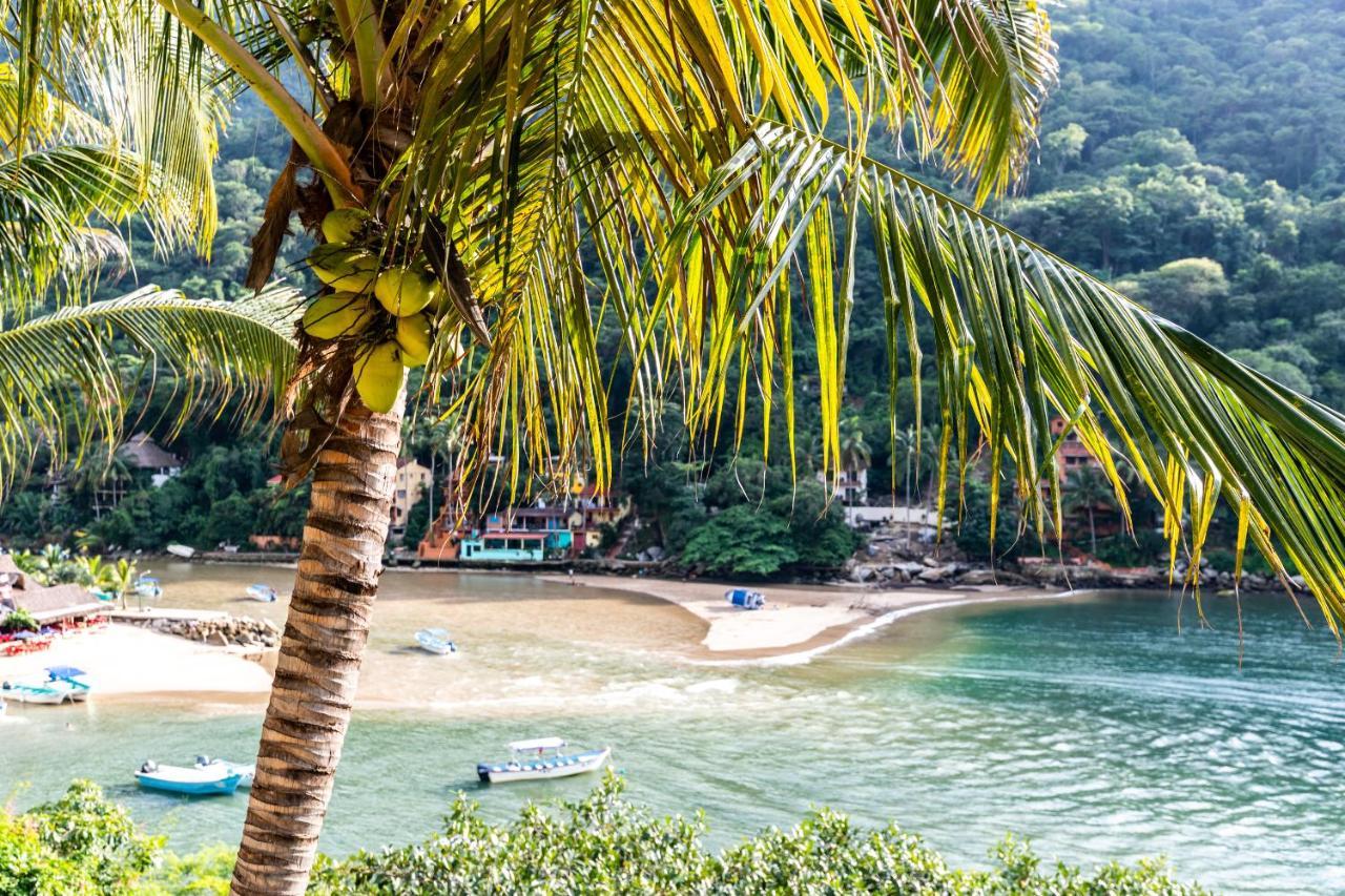 Boca De Tomatlan Luxury Boutique Hotel Accommodations Puerto Vallarta Zewnętrze zdjęcie